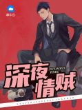 深夜情贼阅读