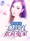 苏言警察的小说