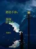 婚劫不休情纵前男友书评