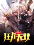 狂龙无双杨风