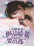 入婚难离:极品娇妻要出逃 聚合中文网
