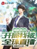 神豪系统玩遍主播的小说