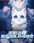 全职法师之冰皇笔趣阁