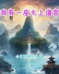 我有一座太上道宫境界划分