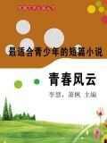 短篇小说·青春风云