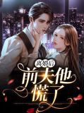离婚后,前夫他后悔了免费完结
